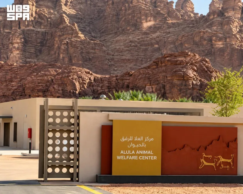Oryx, Ibex and Stray Animal Care: AlUla's Wildlife Work Highlighted on World Animal Day