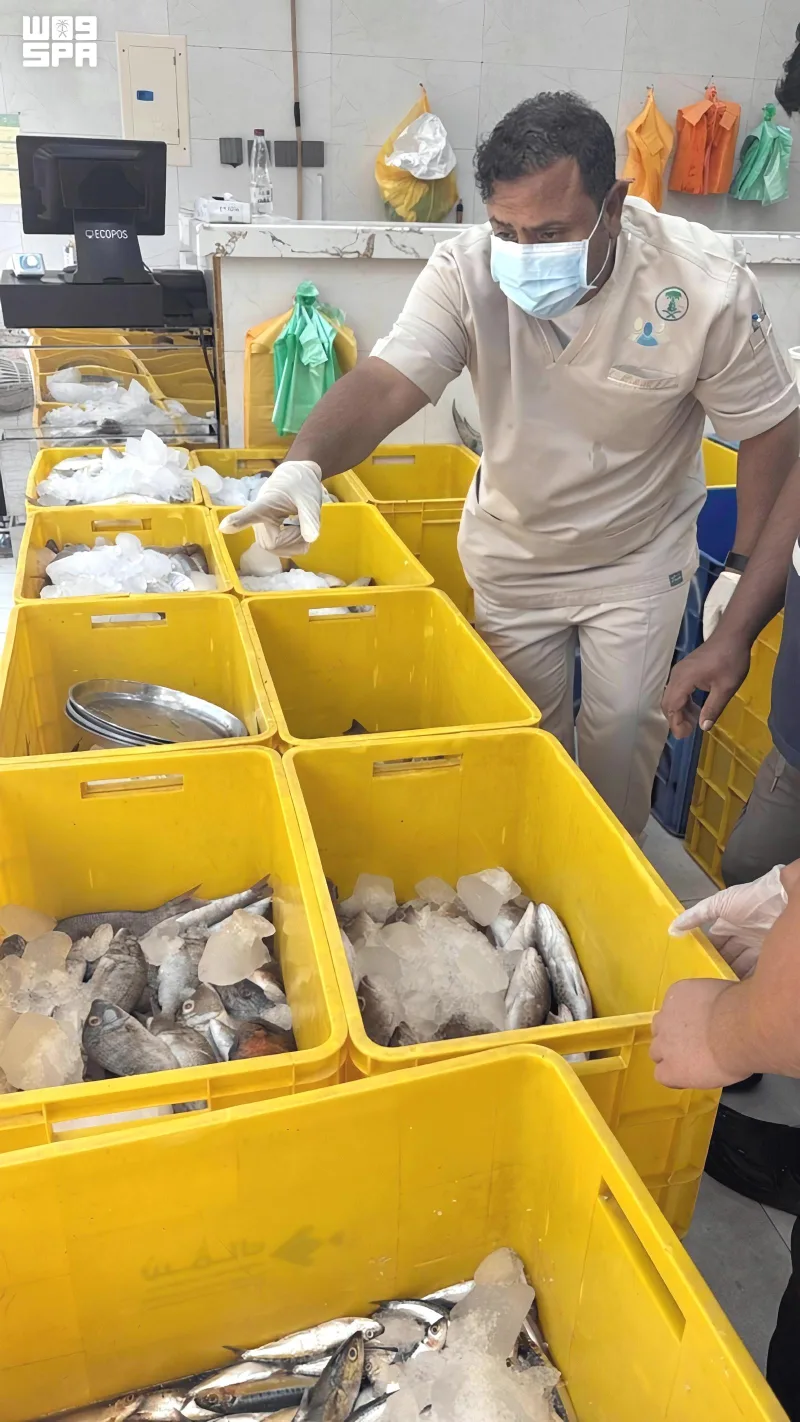 خمیس مشیط میں 1,324 کلو خراب مچھلی ضبط، عسیر میں مارکیٹوں کی مشترکہ چیکنگ