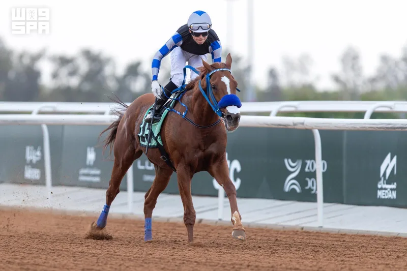 Taif Season's Ninth Week Offers SAR2.8 Million Across 22 Races