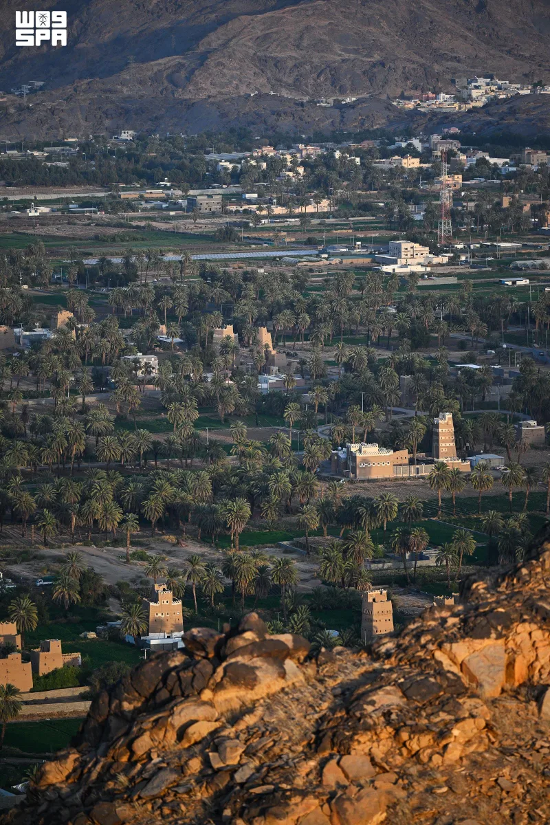 من قمم مغرة.. نجران بانوراما تجمع الواحة والجبال والبيوت الطينية