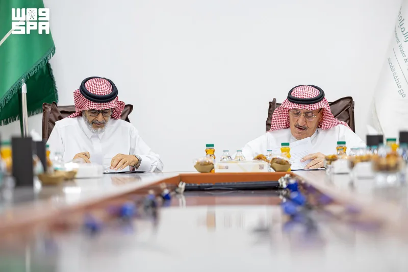 مشروع لتربية 20 ألف رأس ماشية على 5.6 ملايين متر مربع في الشماسية