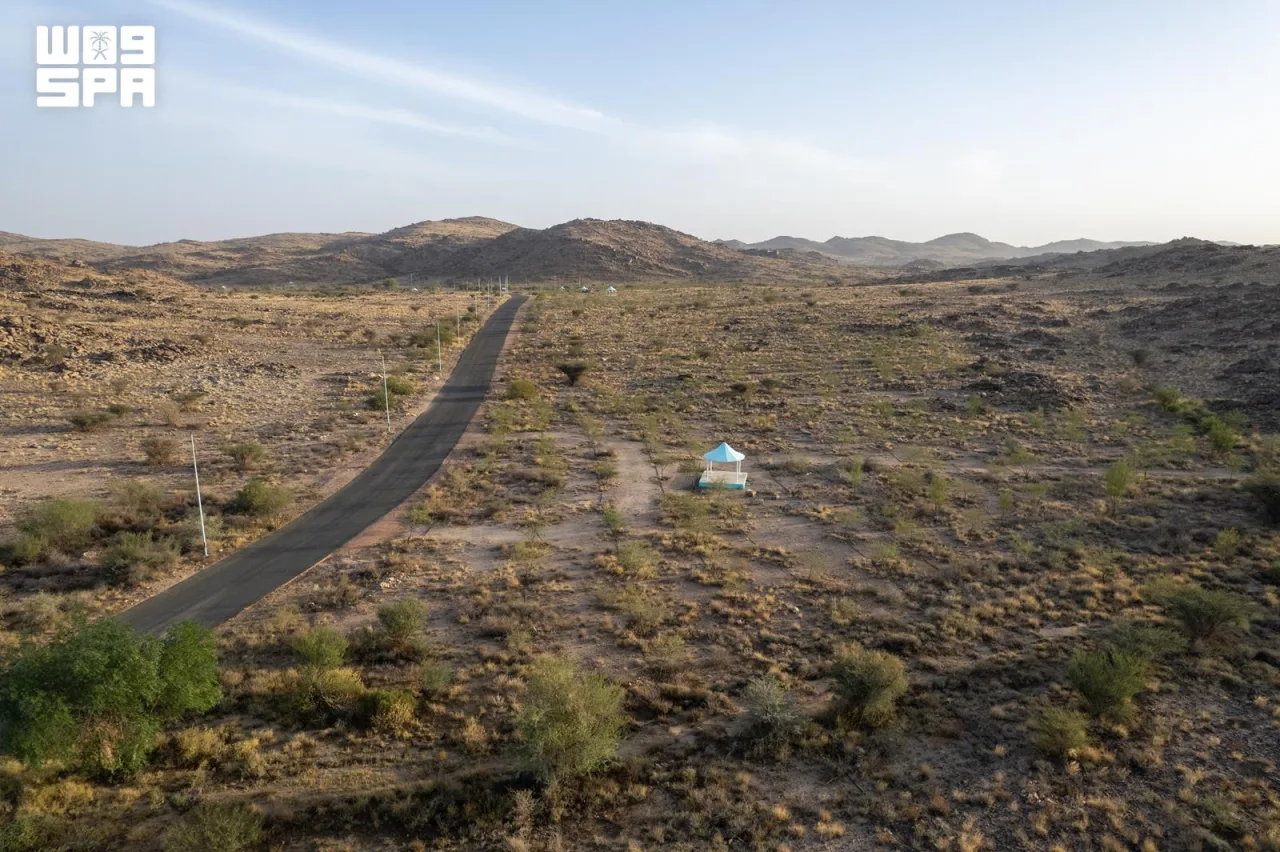 Makkah Region's National Parks Combine Natural Beauty and Ecotourism Potential