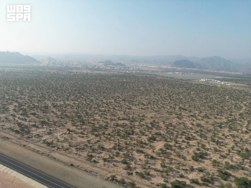 Makkah Region's National Parks Combine Natural Beauty and Ecotourism Potential