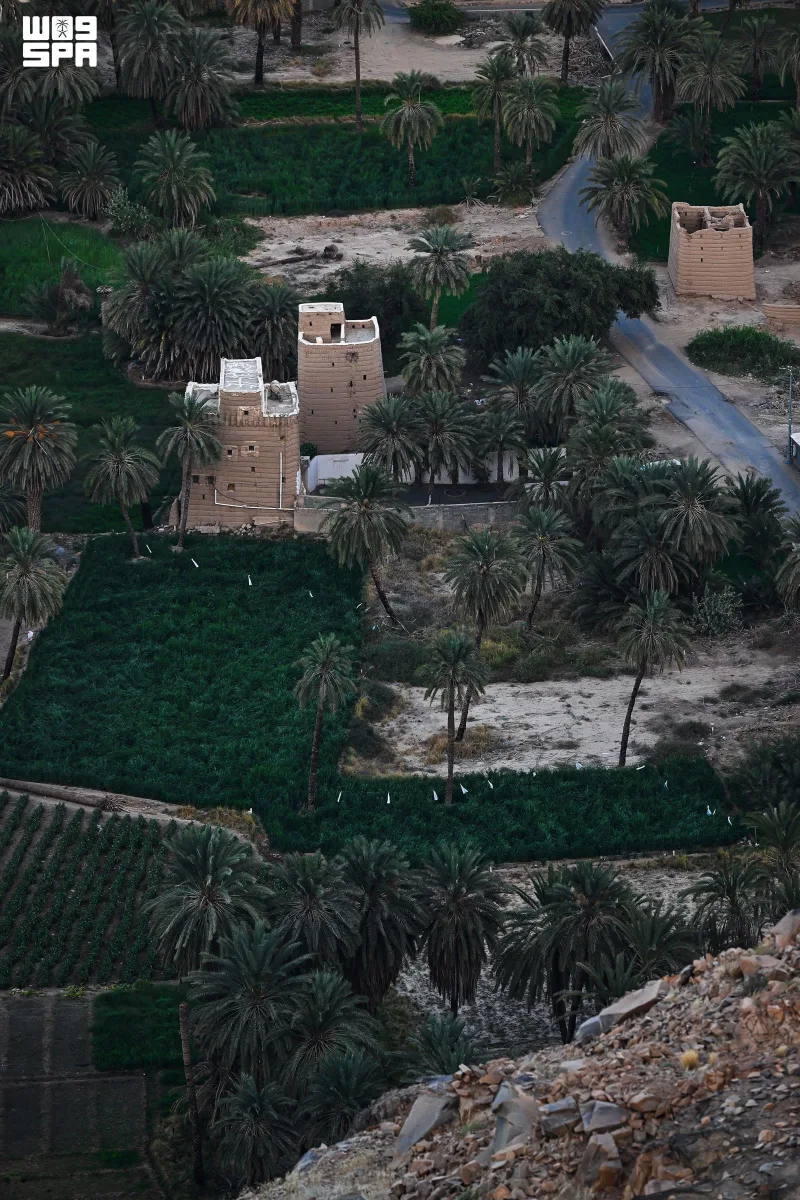 من قمم مغرة.. نجران بانوراما تجمع الواحة والجبال والبيوت الطينية