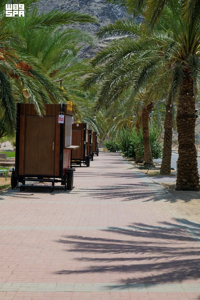 Najran : le parc Prince Jalawi, 8 130 arbres et palmiers au service des loisirs