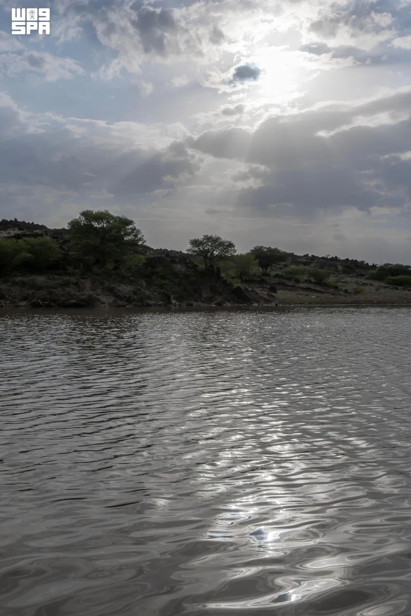 بیش از ۱۲۰ برنامه در ۱۱ محل؛ نجران برای «تابستان شگفت‌انگیز ما ۲۰۲۶» آماده می‌شود