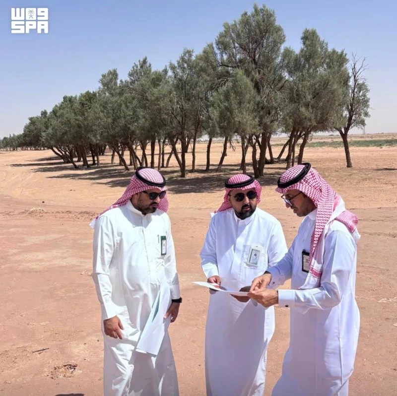53 جلسة وطرق داخلية في المرحلة الأولى لتطوير شعيب الطرفية بالبطين