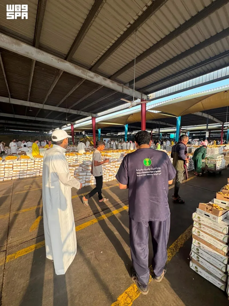 제다 중앙 청과시장, 이번 시즌 대추야자 1,334,898 kg 반입