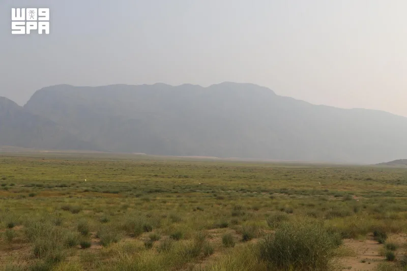 Makkah Region's National Parks Combine Natural Beauty and Ecotourism Potential