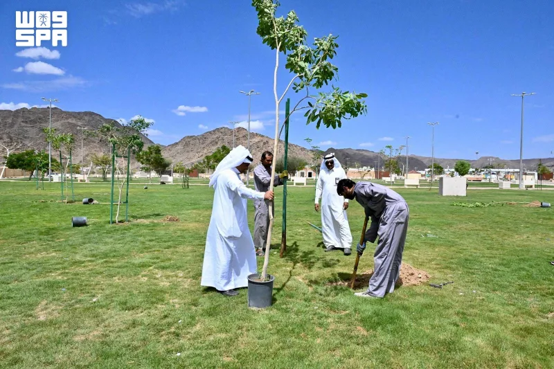 7311 شجرة في 24 موقعًا.. نجران تكمل المرحلة الثانية من «الضواحي الخضراء»