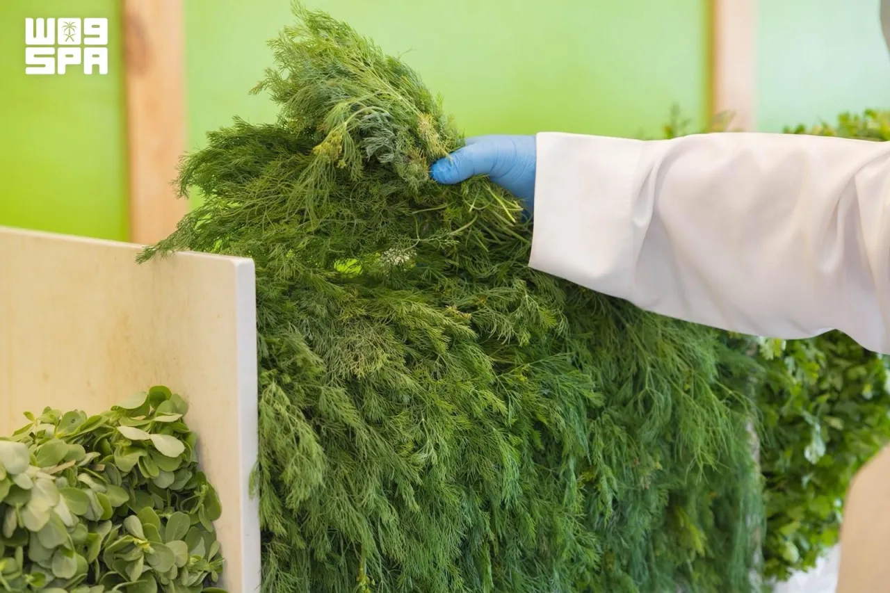 Al-Rass : 171 commerces de fruits et légumes contrôlés pour les résidus de pesticides