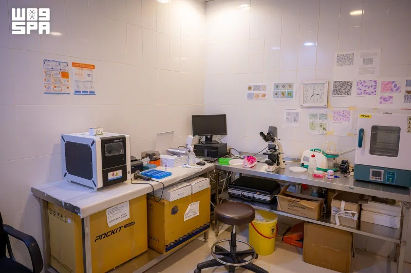 Inside a falcon hospital: from microchip check-in to feather repair