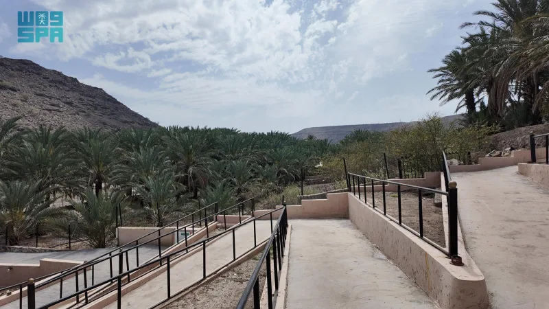 إنذار أحمر في رهاط ومدركة: أمطار غزيرة ورياح شديدة حتى الثامنة مساءً