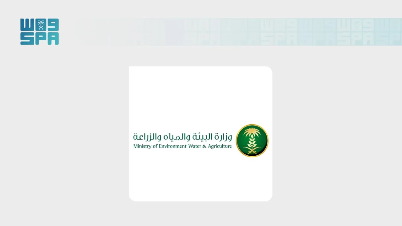 أكثر من 15 مبادرة تطوعية لـ«بيئة الحناكية» في مزاد ومهرجان الإبل الثالث بمنطقة المدينة المنورة