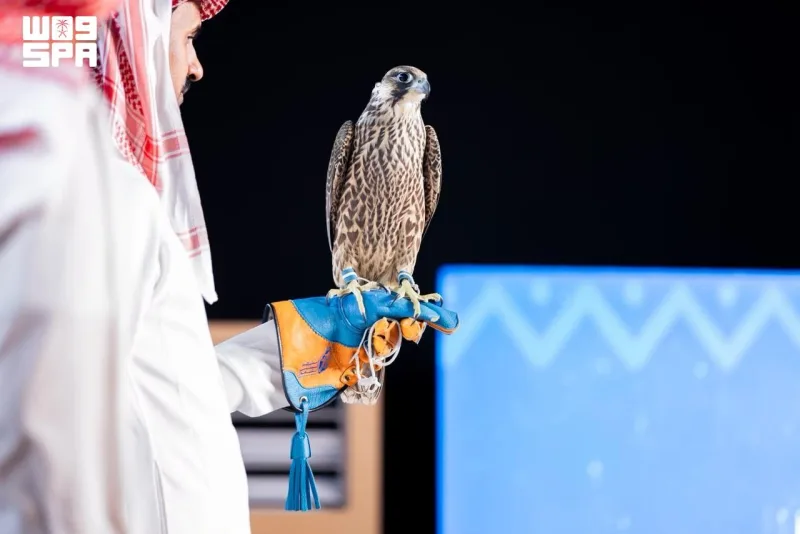 Two young peregrine falcons fetch SAR 374,000 on fourth night of National Falcon Center auction