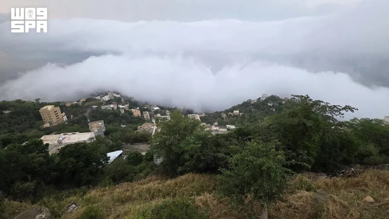 Fifa's farming terraces: a mountain heritage that keeps Jazan's land memory alive