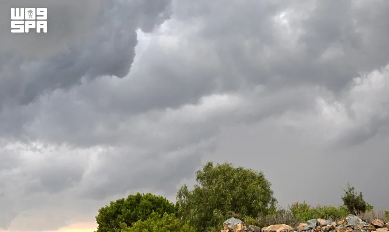 Al-Wasm season arrives in Aseer with cool peaks and warm Tihama plains