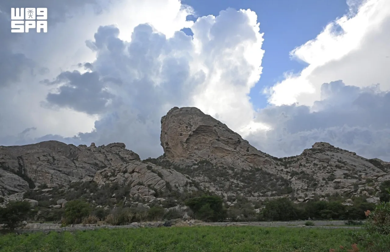 Al-Wasm season arrives in Aseer with cool peaks and warm Tihama plains