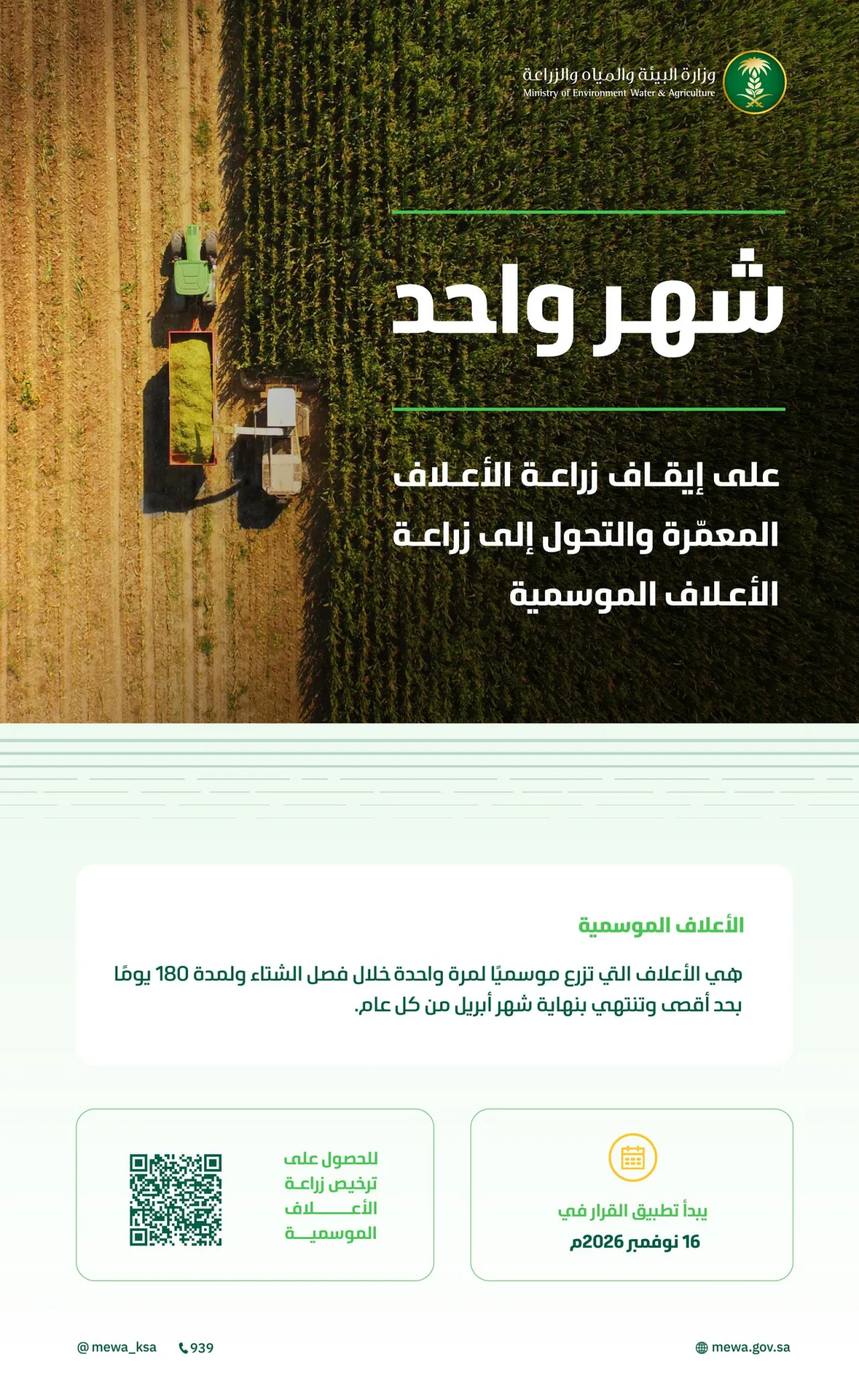 إيقاف زراعة الأعلاف المعمرة والتحول للموسمية يبدأ في 16 نوفمبر 2026