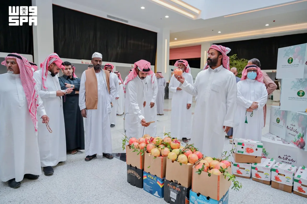 مبيعات مهرجان الرمان الـ15 في الباحة تتجاوز 60 طنًا مع اختتام فعالياته