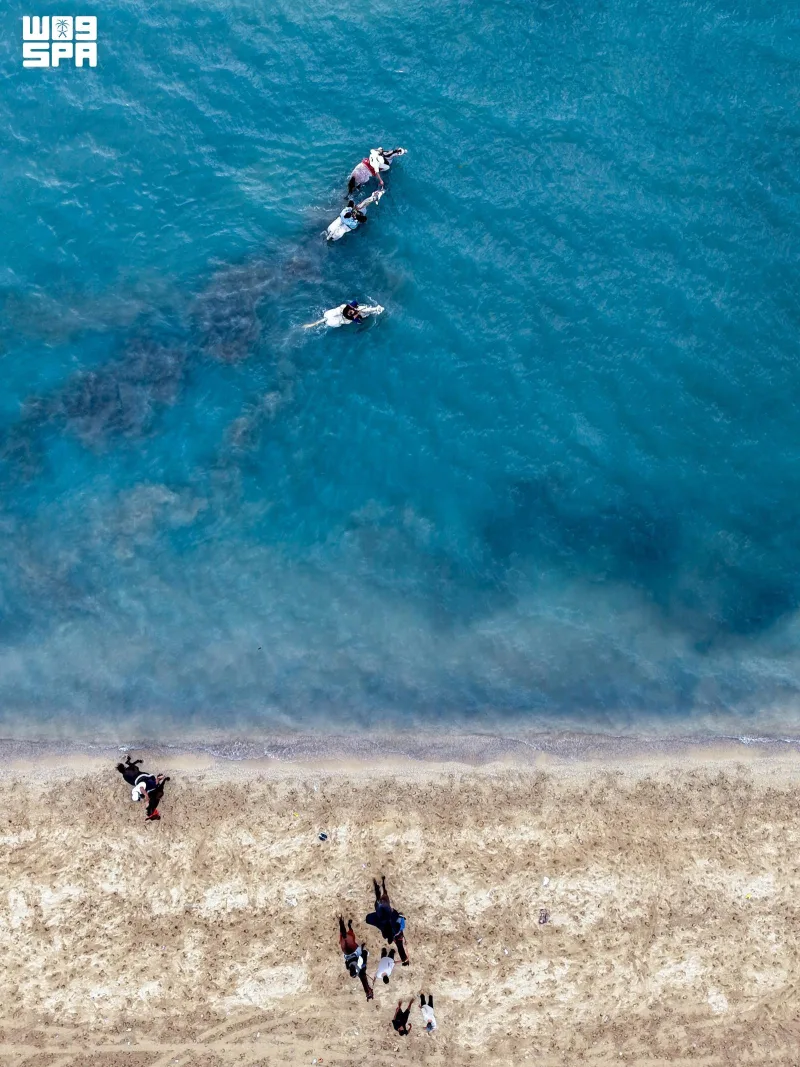 SPA photos capture horses wading through Jeddah's sunset-lit sea
