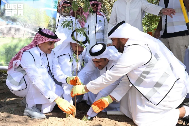 انطلاق موسم التشجير الوطني 2026 في الأحساء بمبادرات ميدانية وتوعوية