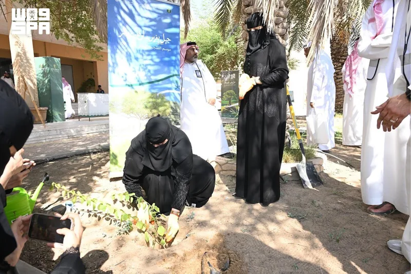 انطلاق موسم التشجير الوطني 2026 في الأحساء بمبادرات ميدانية وتوعوية