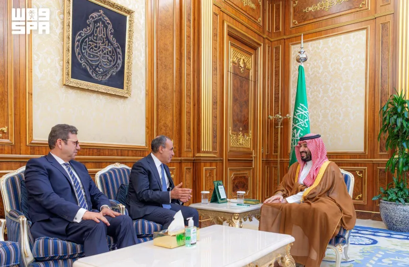ولي العهد يتسلم رسالة من الرئيس المصري إلى خادم الحرمين الشريفين عبر وزير الخارجية عبدالعاطي