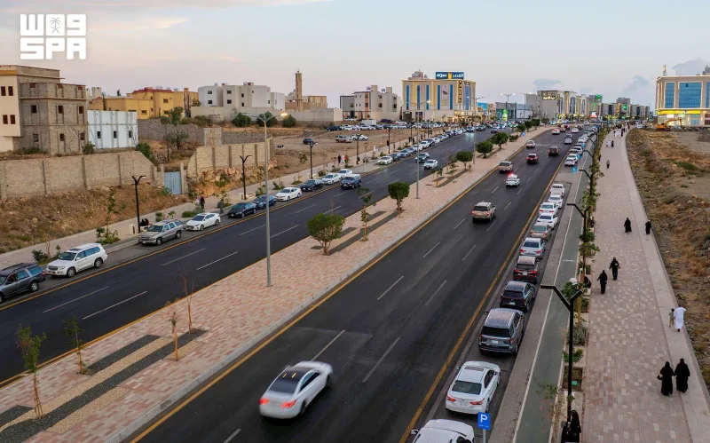 أمانة عسير تبدأ زراعة مليون زهرة موسمية وتطوير الطرق استعدادًا لموسم الشتاء